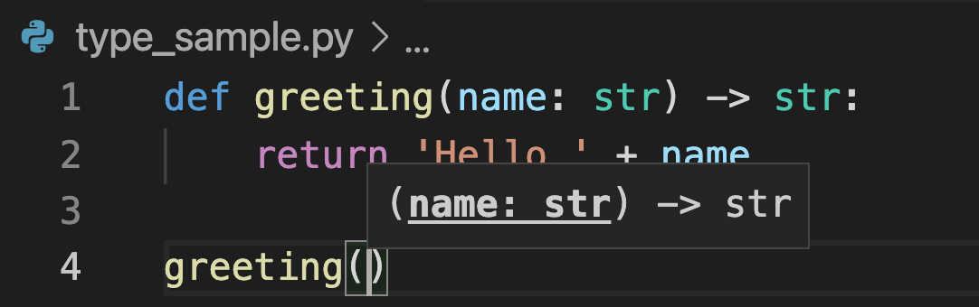 VS Codeでの型ヒントの使用例
